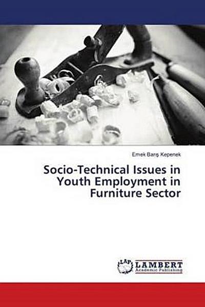 Socio-Technical Issues in Youth Employment in Furniture Sector
