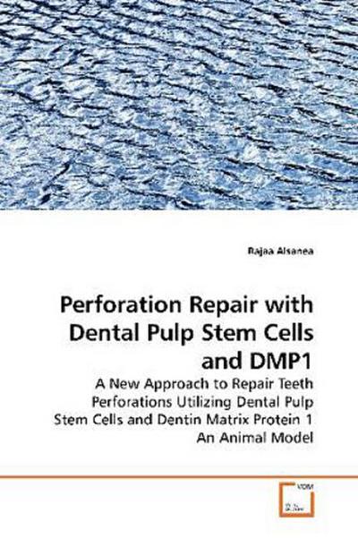 Perforation Repair with Dental Pulp Stem Cells and DMP1