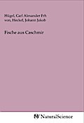 Fische aus Caschmir
