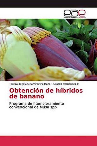 Obtención de híbridos de banano
