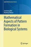 Mathematical Aspects of Pattern Formation in Biolo