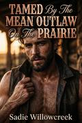 Tamed By The Mean Outlaw On The Prairie
