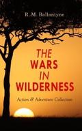 THE WARS IN WILDERNESS - Action & Adventure Co