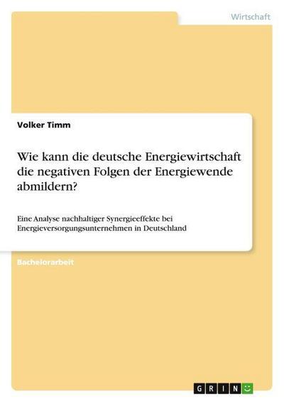 Wie kann die deutsche Energiewirtschaft die negativen Folgen der Energiewende abmildern?