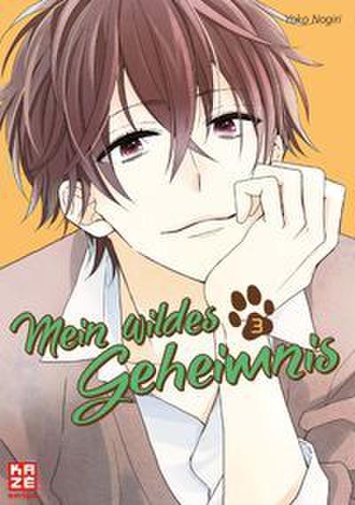 Mein wildes Geheimnis - Band 3