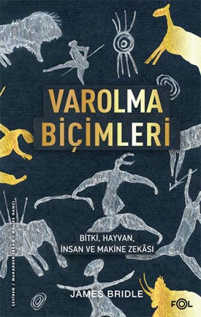Varolma Bicimleri