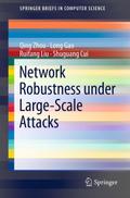 Network Robustness under Large-Scale Attacks
