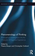 Phenomenology of Thinking