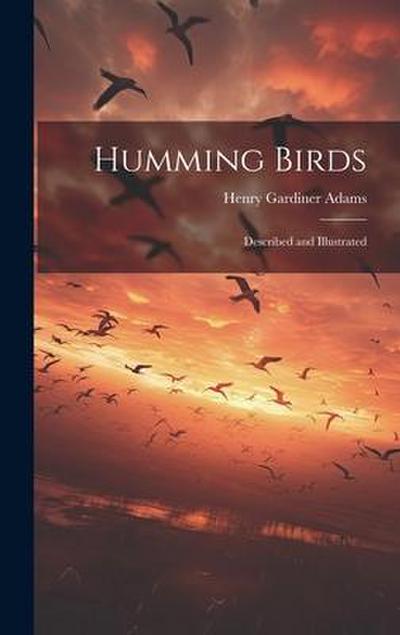 Humming Birds: Described and Illustrated