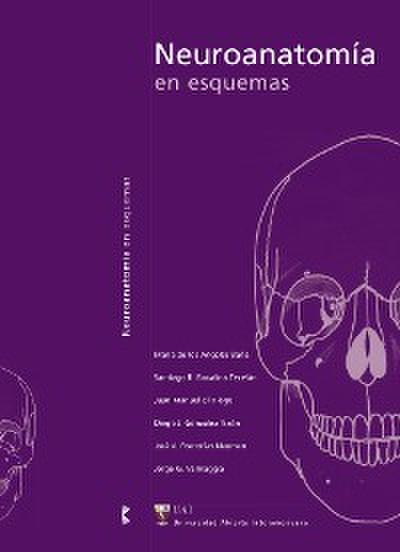 Neuroanatomía en esquemas