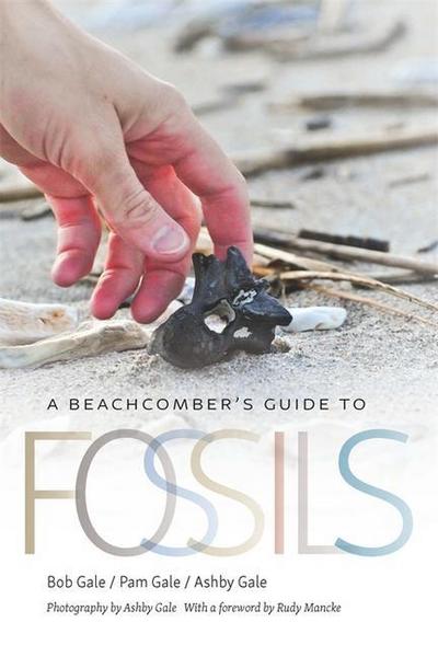 A Beachcomber’s Guide to Fossils
