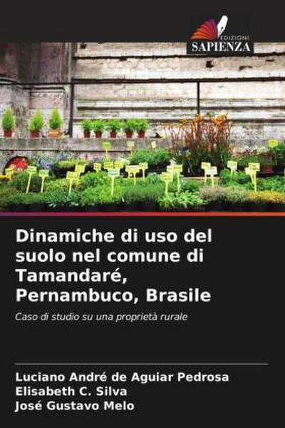Dinamiche di uso del suolo nel comune di Tamandaré, Pernambuco, Brasile