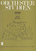 Orchesterstudien Horn