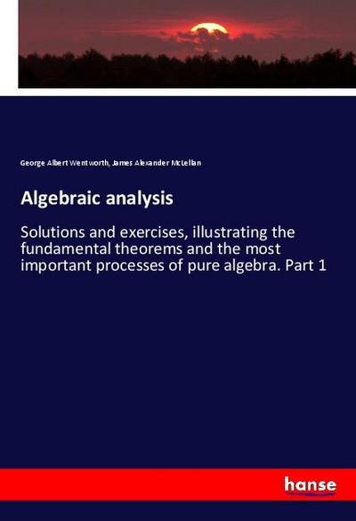 Algebraic analysis