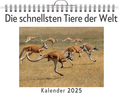 Werner, L: Die schnellsten Tiere der Welt