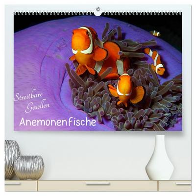 Anemonenfische - Streitbare Gesellen (hochwertiger Premium Wandkalender 2026 DIN A2 quer), Kunstdruck in Hochglanz