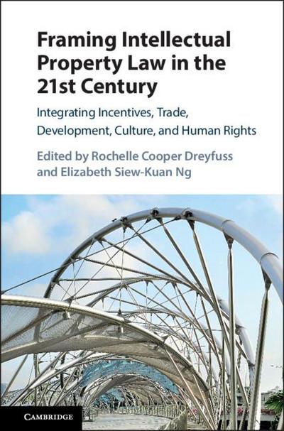 Framing Intellectual Property Law in the 21st             Century