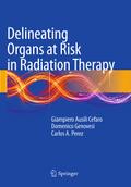 Delineating Organs at Risk in Radiation Therapy