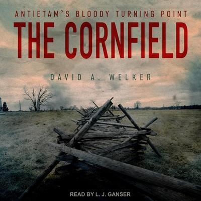 The Cornfield: Antietam’s Bloody Turning Point