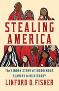 Stealing America