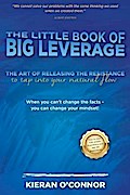 The Little Book of Big Leverage