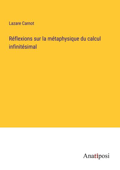 Réflexions sur la métaphysique du calcul infinitésimal