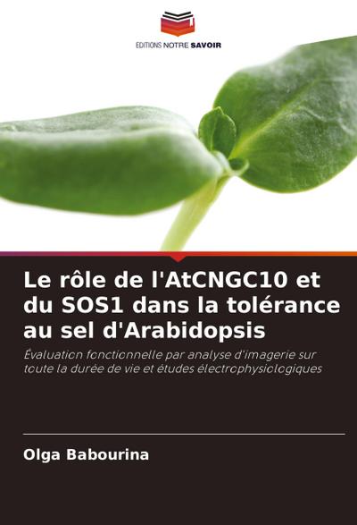 Le rôle de l’AtCNGC10 et du SOS1 dans la tolérance au sel d’Arabidopsis