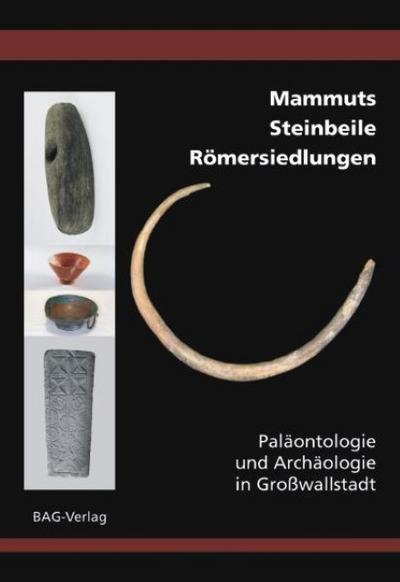 Mammuts • Steinbeile • Römersiedlungen: Paläontologie und Archäologie in Großwallstadt