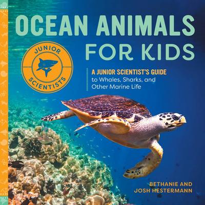 Ocean Animals for Kids