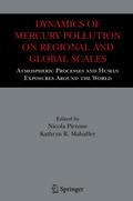 Dynamics of Mercury Pollution on Regional and Global Scales