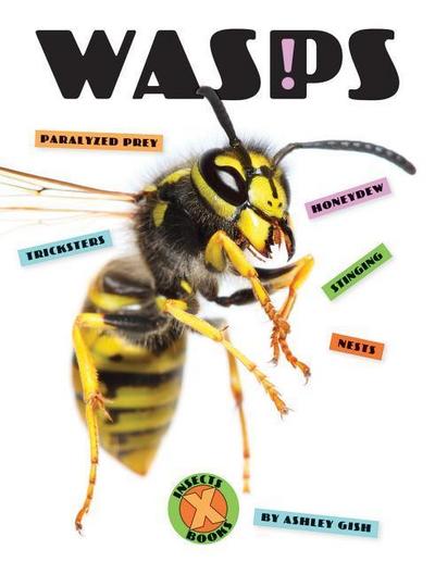 Wasps