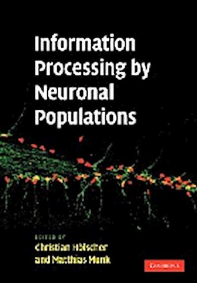 Information Processing by Neuronal Populations