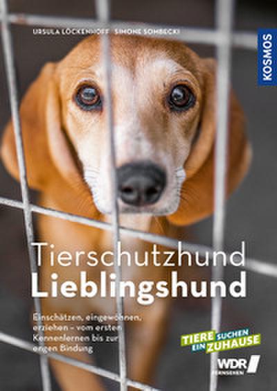 Tierschutzhund Lieblingshund