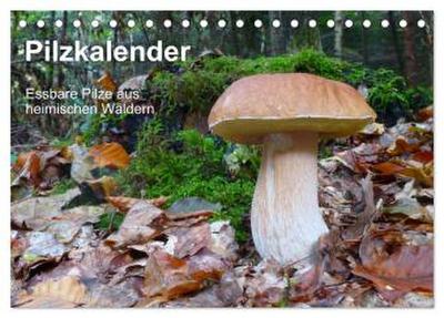 Pilzkalender (Tischkalender 2026 DIN A5 quer), CALVENDO Monatskalender