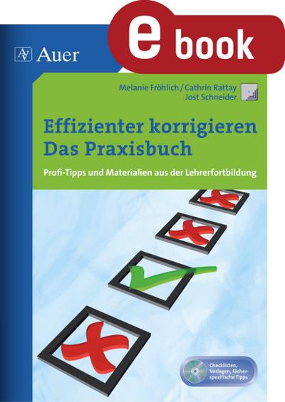 Effizienter korrigieren - Das Praxisbuch