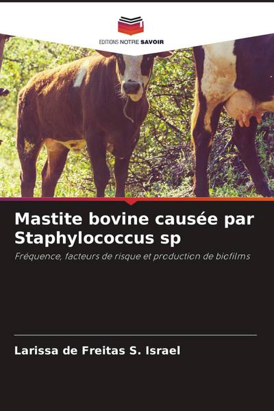 Mastite bovine causée par Staphylococcus sp