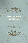 Birds in Town & Village