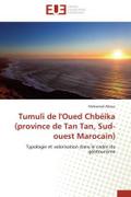 Tumuli de l’Oued Chbéika (province de Tan Tan, Sud-ouest Marocain)