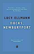 Ducks, Newburyport