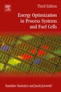 Energy Optimization in Process Systems and Fuel Cells