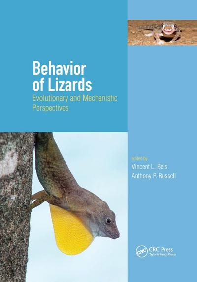 Behavior of Lizards