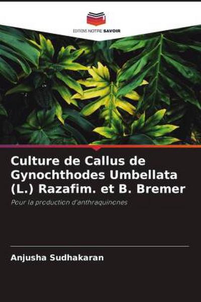 Culture de Callus de Gynochthodes Umbellata (L.) Razafim. et B. Bremer