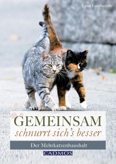 Gemeinsam schnurrt sich’s besser
