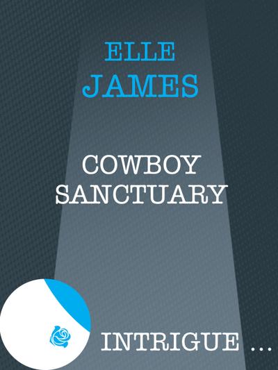 Cowboy Sanctuary (Mills & Boon Intrigue)