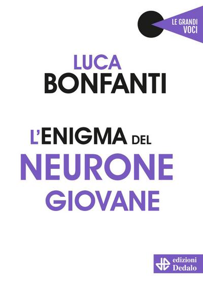 L’ enigma del neurone giovane