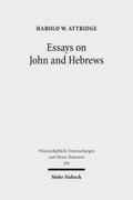 Essays on John and Hebrews