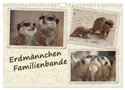 Erdmännchen Familienbande (Wandkalender 2026 DIN A4 quer), CALVENDO Monatskalender