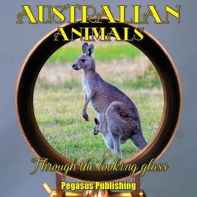 Australian Animals