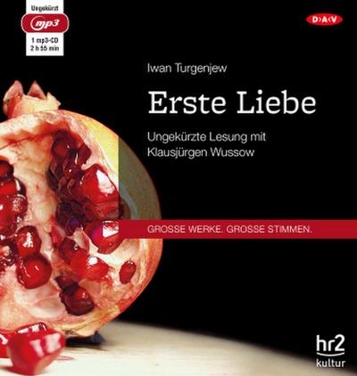Erste Liebe, 1 Audio-CD, 1 MP3