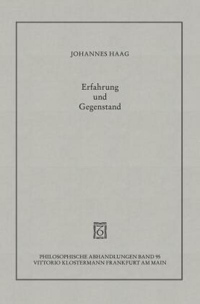 Erfahrung und Gegenstand